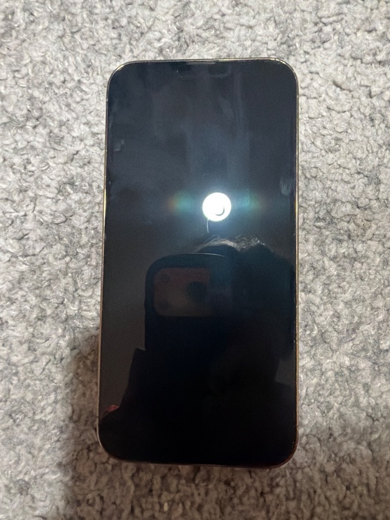iPhone iPhone 13 Pro Max 256GB SIMフリー（スマホ）の商品画像 - 査定依頼日：2026年9月24日 - 最高査定価格：53,000円