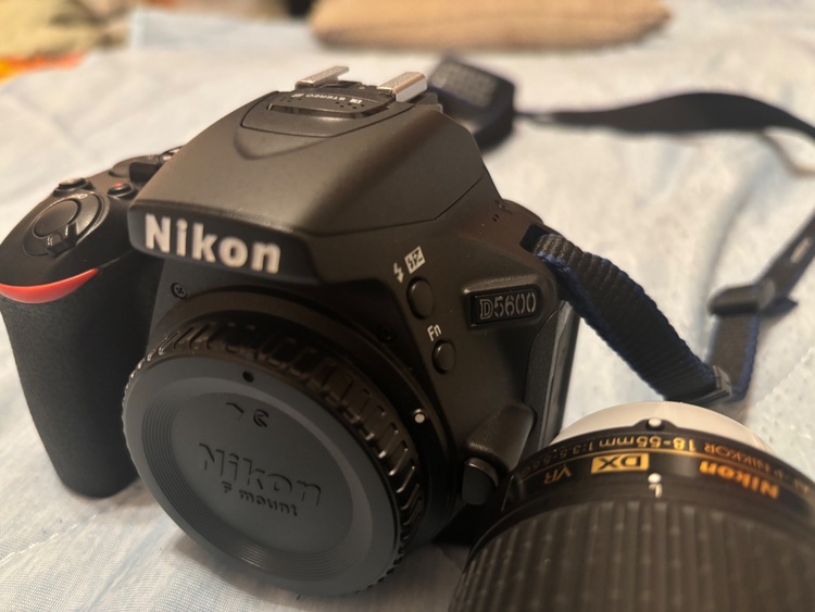 D5600ダブルズームキット（カメラ）の商品画像 - 査定依頼日：2026年1月19日 - 最高査定価格：45,000円