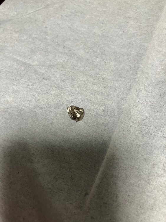 金歯（金・貴金属）の商品画像 - 査定依頼日：2025年1月10日 - 最高査定価格：2,000円