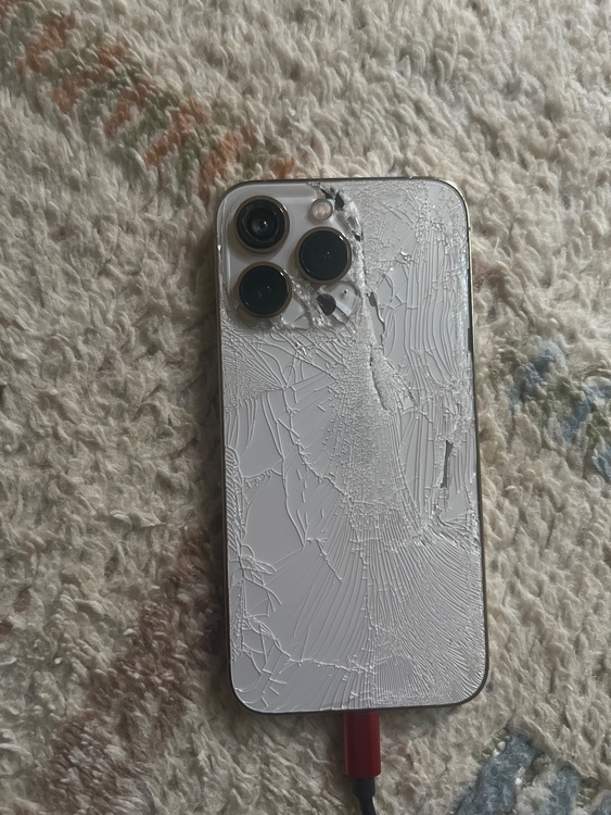 iPhone iPhone 13 Pro 256GB docomo（スマホ）の商品画像 - 査定依頼日：2026年5月27日 - 最高査定価格：31,000円