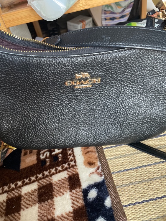 その他 コーチ （ブランドバッグ）の商品画像 - 査定依頼日：2026年4月11日 - 最高査定価格：100,000円