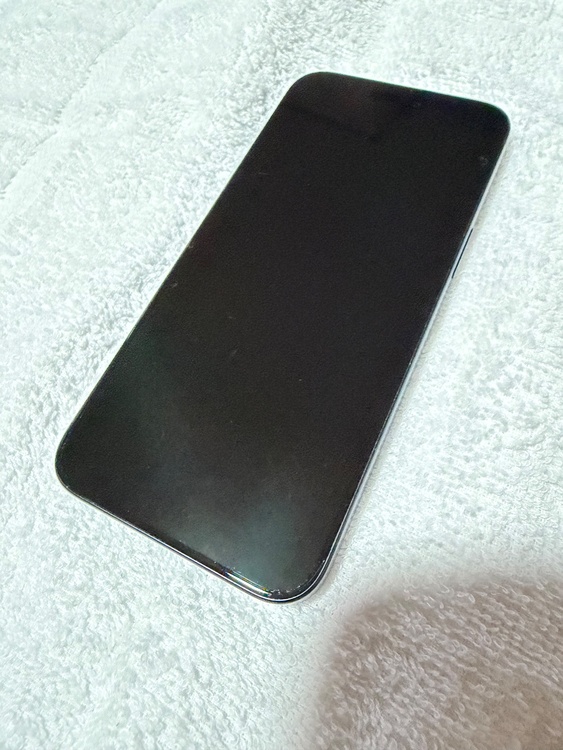 iPhone iPhone 15 Pro Max 256GB docomo（スマホ）の商品画像 - 査定依頼日：2026年7月31日 - 最高査定価格：97,000円