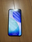 iPhone iPhone 13 Pro 256GB au（スマホ）の商品画像 - 査定依頼日：2026年9月13日 - 最高査定価格：43,000円