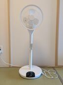 LFD-22T-W（家電）の商品画像 - 査定依頼日：2025年9月18日 - 最高査定価格：1,000円