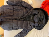 ダウン（古着・ファッション）の商品画像 - 査定依頼日：2025年12月11日 - 最高査定価格：1,000円