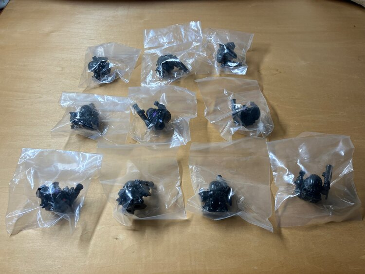 SDガンダム FS (黒い三連星専用高機動型ザクⅡ)×10個（その他のおもちゃ）の商品画像 - 査定依頼日：2025年3月24日