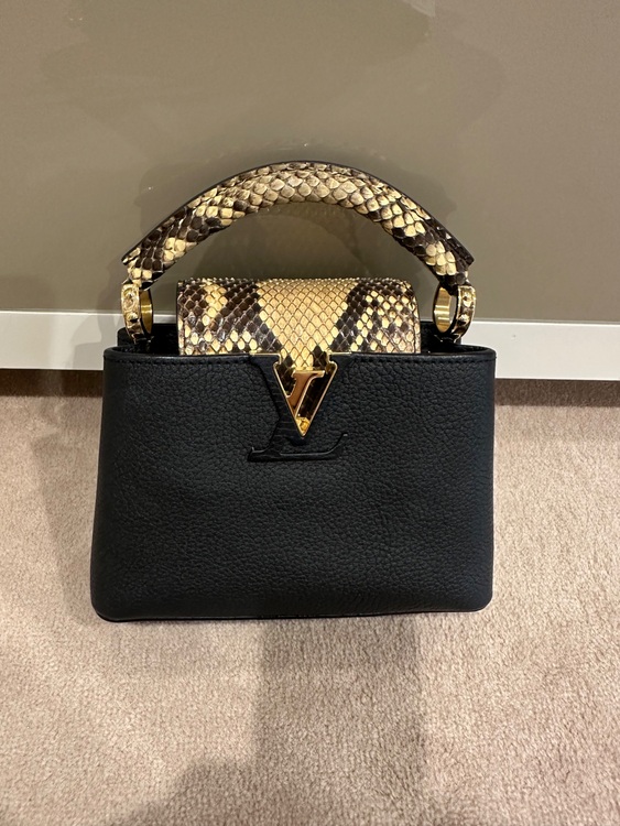 カプシーヌ（ブランドバッグ）の商品画像 - 査定依頼日：2025年6月28日 - 最高査定価格：350,000円