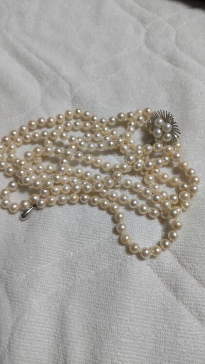 本真珠（金・貴金属）の商品画像 - 査定依頼日：2025年8月26日 - 最高査定価格：10,000円