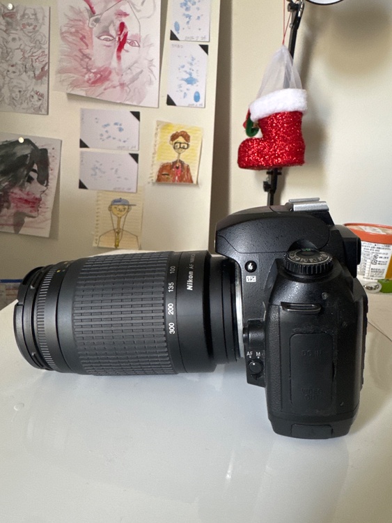  D70（カメラ）の商品画像 - 査定依頼日：2026年3月2日 - 最高査定価格：16,000円