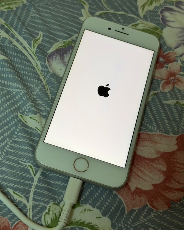 iPhone iPhone8 64GB SIMフリー（スマホ）の商品画像 - 査定依頼日：2026年9月23日 - 最高査定価格：5,500円