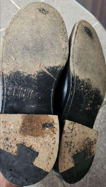 Alden　オールデン　BEAMS別注　9901　コードバン　プレーントゥ（古着・ファッション）の商品画像 - 査定依頼日：2025年3月21日 - 最高査定価格：20,000円