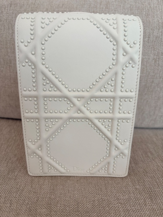 dior diora pouch（ブランドバッグ）の商品画像 - 査定依頼日：2026年9月25日 - 最高査定価格：40,000円