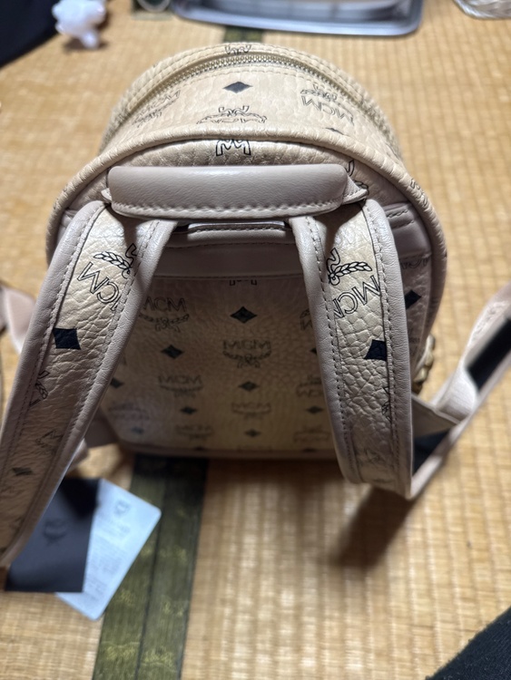 その他 その他 （ブランドバッグ）の商品画像 - 査定依頼日：2026年2月9日 - 最高査定価格：11,000円