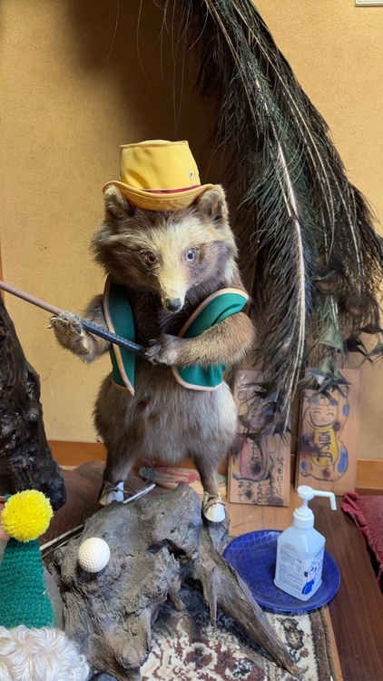 剥製（美術品・骨董品）の商品画像 - 査定依頼日：2026年2月1日 - 最高査定価格：100,000円