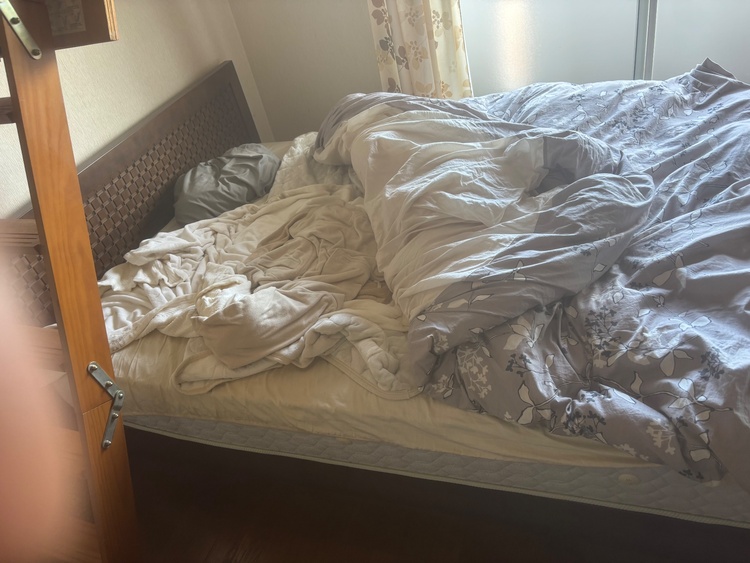 フランスベット（家具・寝具）の商品画像 - 査定依頼日：2025年12月23日 - 最高査定価格：4,000円