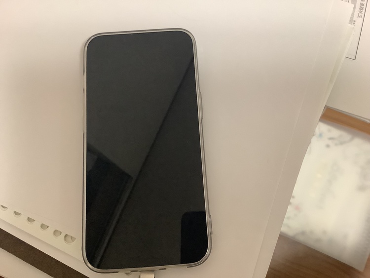 iPhone iPhone 13 Pro 256GB docomo（スマホ）の商品画像 - 査定依頼日：2026年6月30日 - 最高査定価格：54,000円