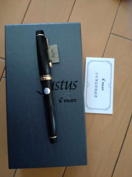 パイロット万年筆K14刻印入り新品（金・貴金属）の商品画像 - 査定依頼日：2023年10月2日 - 最高査定価格：10,000円