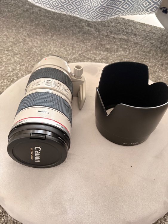 Canon EF70-200mm（カメラ）の商品画像 - 査定依頼日：2026年6月21日 - 最高査定価格：100,000円