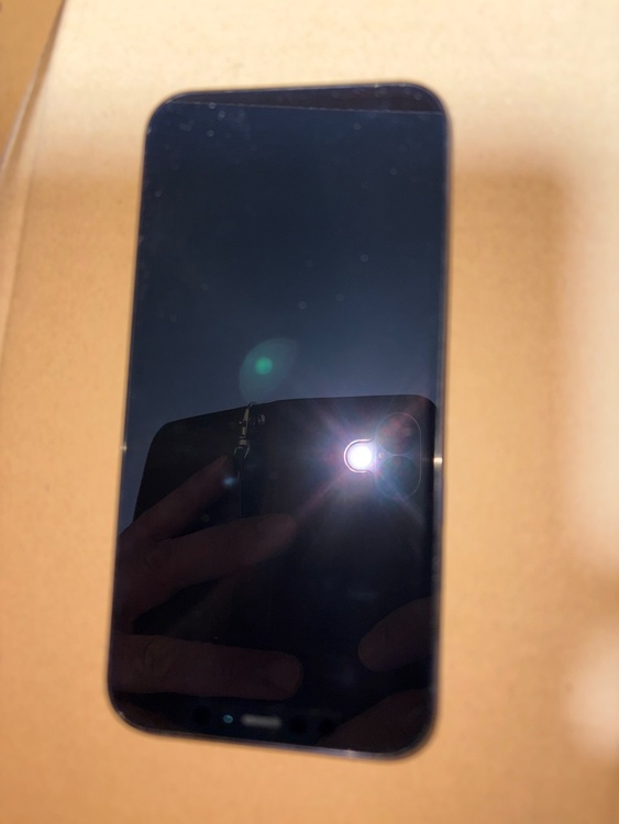 iPhone 12 Pro 256GB au（スマホ）の商品画像 - 査定依頼日：2026年3月30日 - 最高査定価格：100,000円