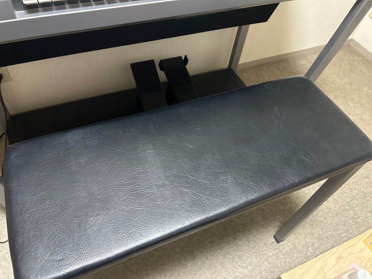 ELS-02C（ピアノ・楽器・PA機材）の商品画像 - 査定依頼日：2025年11月12日 - 最高査定価格：130,000円