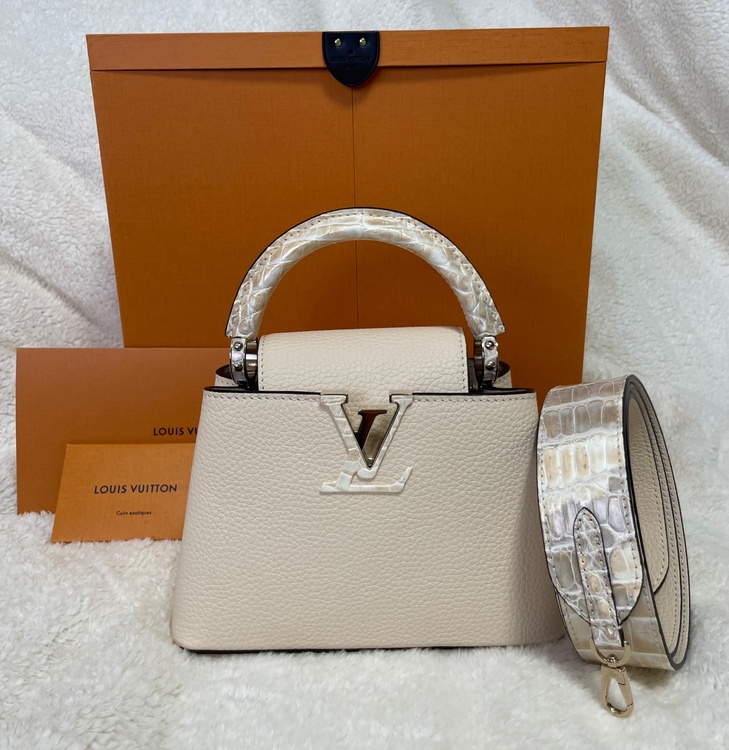 ルイヴィトン ルイヴィトン(その他) （ブランドバッグ）の商品画像 - 査定依頼日：2026年3月26日 - 最高査定価格：100,000円