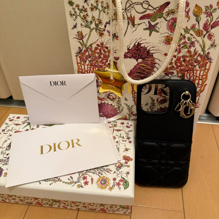 ディオール  （ブランドバッグ）の商品画像 - 査定依頼日：2025年2月26日 - 最高査定価格：20,000円