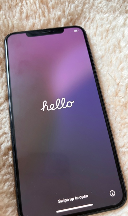 iPhoneXS Max 256GB SIMフリー（スマホ）の商品画像 - 査定依頼日：2026年1月27日 - 最高査定価格：21,000円