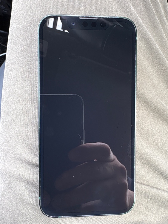 iPhone iPhone 13 mini 256GB SIMフリー（スマホ）の商品画像 - 査定依頼日：2026年7月16日 - 最高査定価格：40,000円