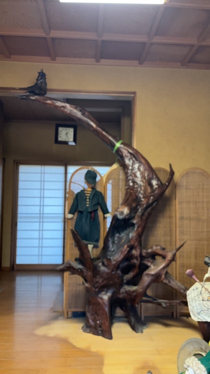 剥製（美術品・骨董品）の商品画像 - 査定依頼日：2026年2月1日 - 最高査定価格：100,000円