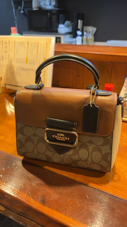 その他 コーチ （ブランドバッグ）の商品画像 - 査定依頼日：2024年12月28日 - 最高査定価格：6,000円