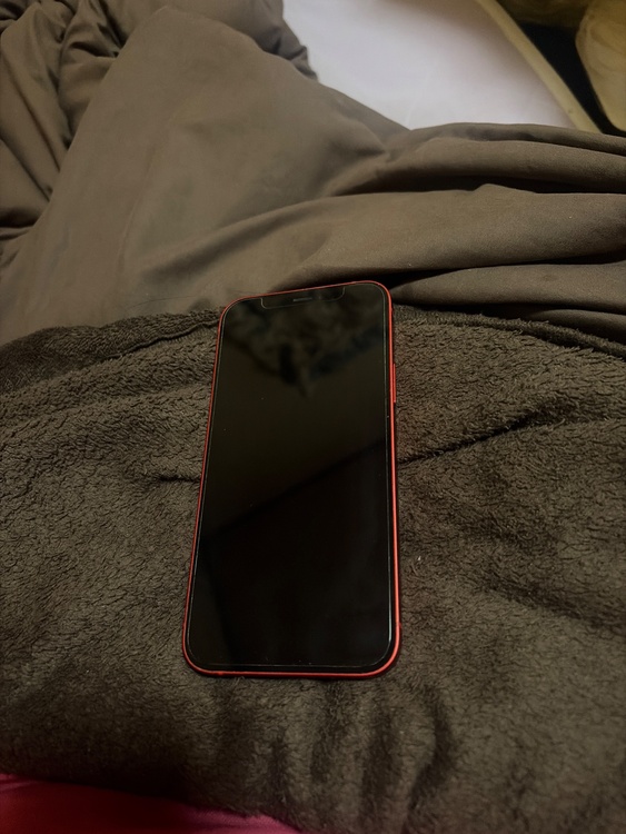 iPhone 12 128GB Softbank（スマホ）の商品画像 - 査定依頼日：2026年1月10日 - 最高査定価格：24,000円