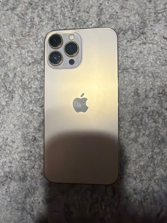 iPhone iPhone 13 Pro Max 256GB SIMフリー（スマホ）の商品画像 - 査定依頼日：2026年9月24日 - 最高査定価格：53,000円
