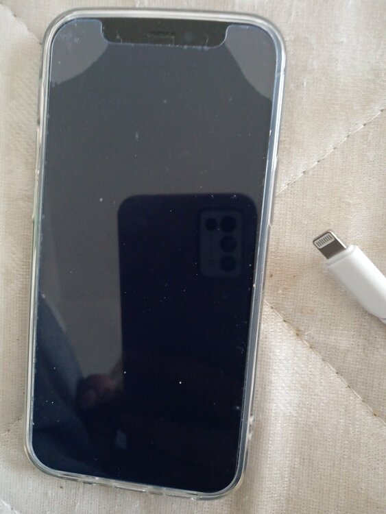 iPhone12ミニ（スマホ）の商品画像 - 査定依頼日：2026年3月7日 - 最高査定価格：15,000円