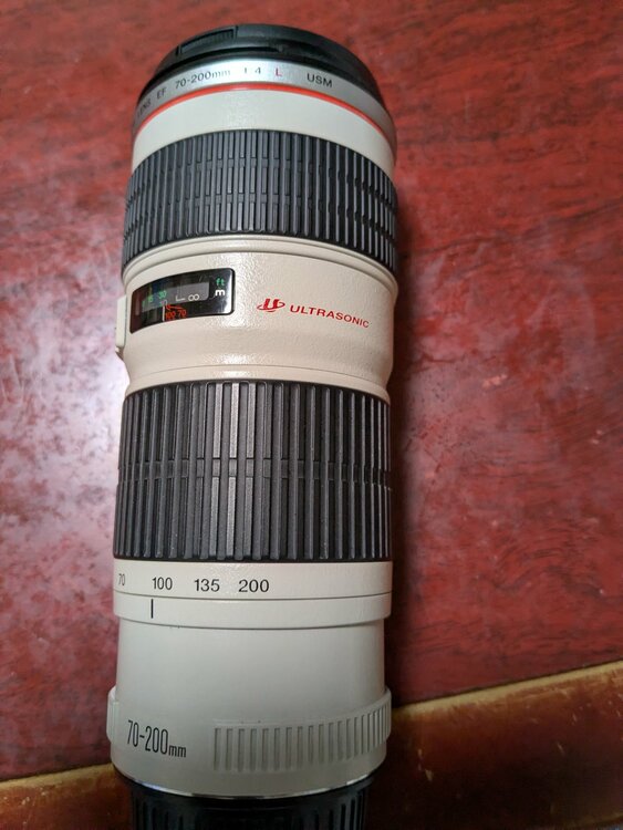 ZOOM LENS EF 70-200mm 1:4 L  USM（カメラ）の商品画像 - 査定依頼日：2026年7月1日 - 最高査定価格：35,000円