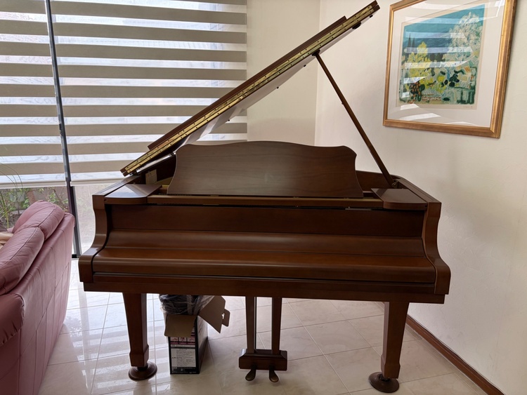 G3   E3750654（ピアノ・楽器・PA機材）の商品画像 - 査定依頼日：2026年3月18日 - 最高査定価格：200,000円