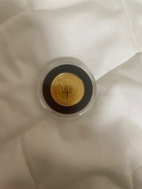 バルバドス金貨1/5オンス24K（金・貴金属）の商品画像 - 査定依頼日：2025年10月27日 - 最高査定価格：133,000円