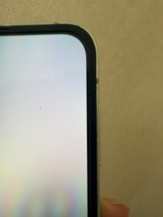 Galaxy Galaxy Z Flip6 シリーズ au（スマホ）の商品画像 - 査定依頼日：2026年6月18日 - 最高査定価格：43,000円