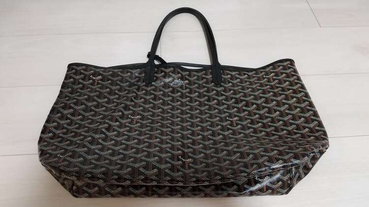 サンルイ（ブランドバッグ）の商品画像 - 査定依頼日：2025年5月6日 - 最高査定価格：100,000円