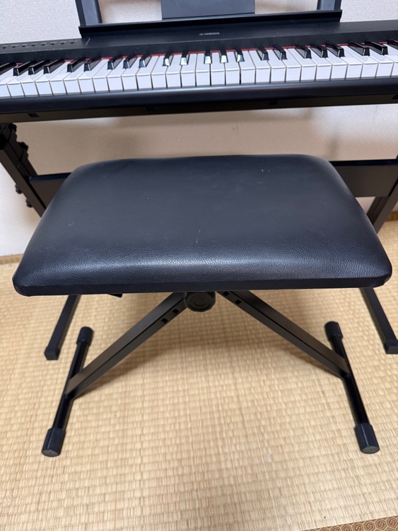 Piaggero np-11（ピアノ・楽器・PA機材）の商品画像 - 査定依頼日：2026年2月22日 - 最高査定価格：5,000円