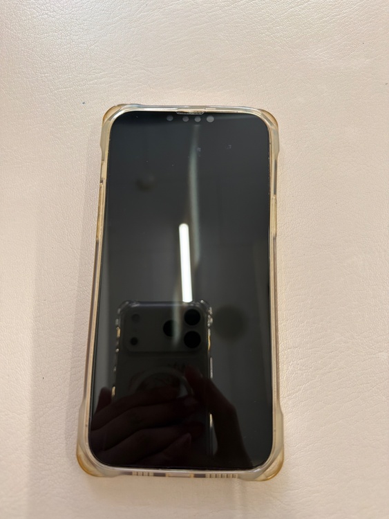 iPhone iPhone 13 Pro Max 128GB au（スマホ）の商品画像 - 査定依頼日：2026年9月1日 - 最高査定価格：60,000円
