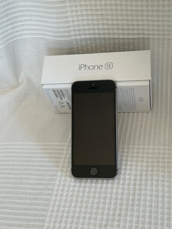 iPhone SE（スマホ）の商品画像 - 査定依頼日：2025年2月23日 - 最高査定価格：1,500円