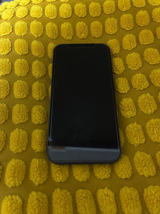 iPhone iPhone 12 64GB au（スマホ）の商品画像 - 査定依頼日：2026年8月9日 - 最高査定価格：23,000円