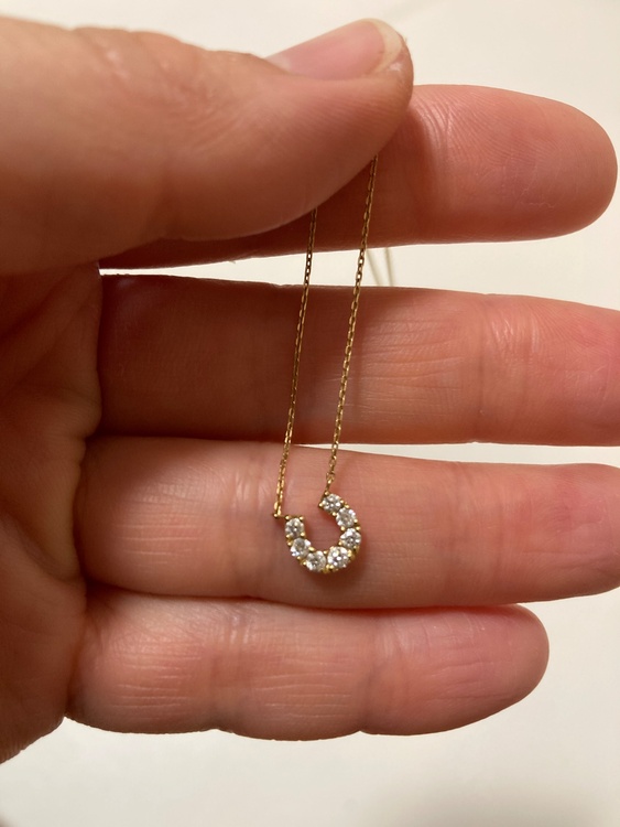 ネックレス（宝石）の商品画像 - 査定依頼日：2025年12月16日 - 最高査定価格：110,000円