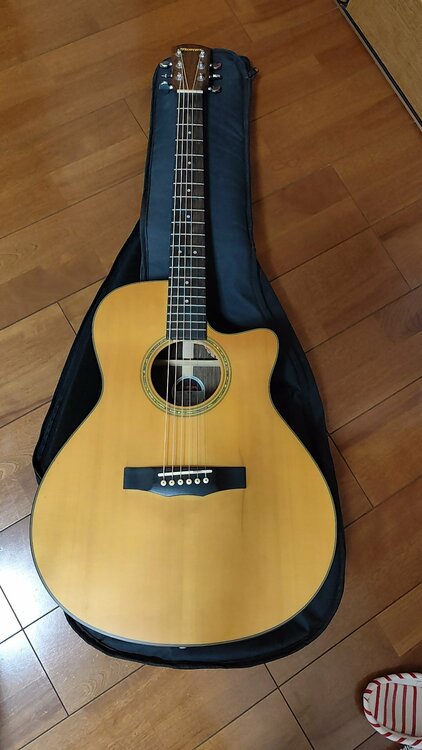 morris s-40（ピアノ・楽器・PA機材）の商品画像 - 査定依頼日：2026年4月14日 - 最高査定価格：5,000円