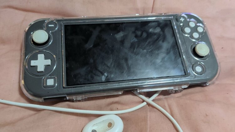任天堂スイッチライト（ゲーム機本体・ゲームソフト）の商品画像 - 査定依頼日：2026年9月14日 - 最高査定価格：8,000円