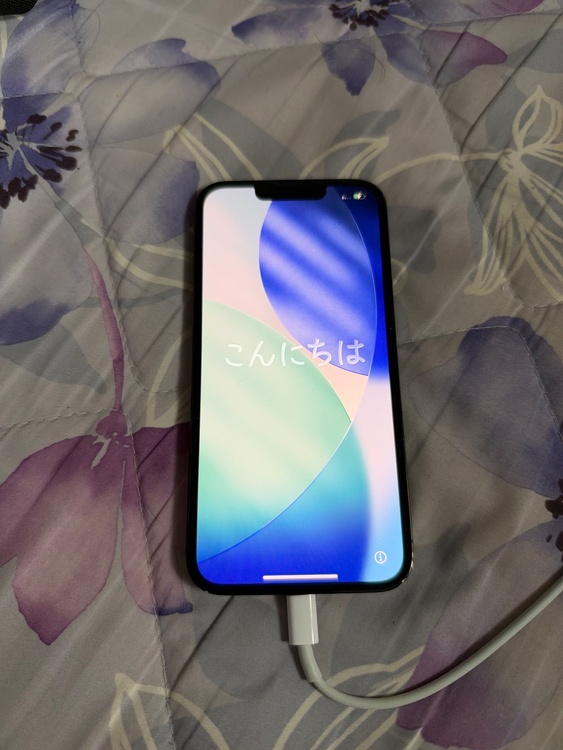iPhone iPhone 13 Pro 256GB docomo（スマホ）の商品画像 - 査定依頼日：2026年9月27日 - 最高査定価格：48,500円
