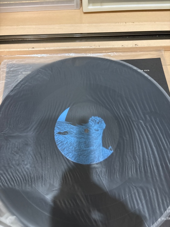 bastard wind of pain（レコード）の商品画像 - 査定依頼日：2026年4月26日
