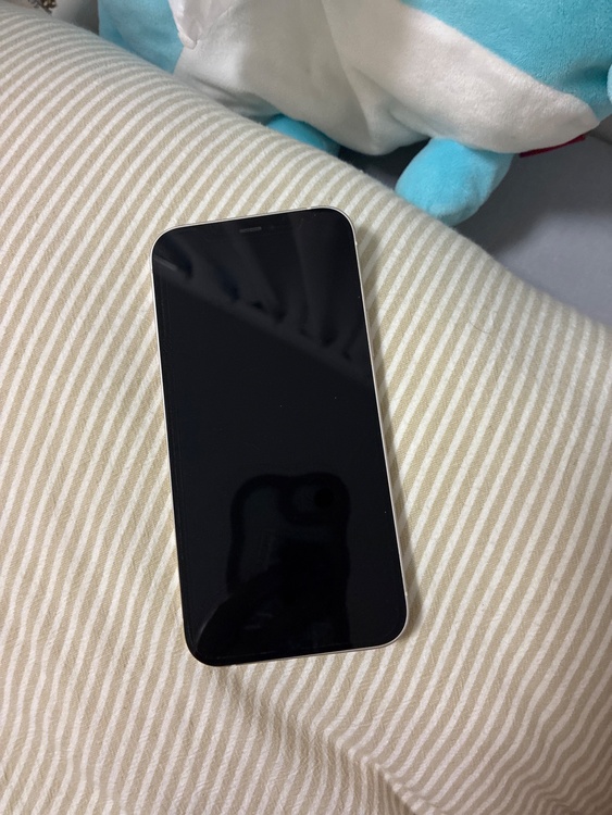 iPhone 12 64GB SIMフリー（スマホ）の商品画像 - 査定依頼日：2026年3月31日 - 最高査定価格：13,000円