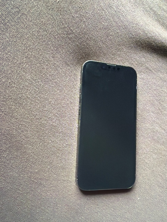 iPhone 13 Pro 256GB 楽天モバイル（スマホ）の商品画像 - 査定依頼日：2026年4月30日 - 最高査定価格：55,000円