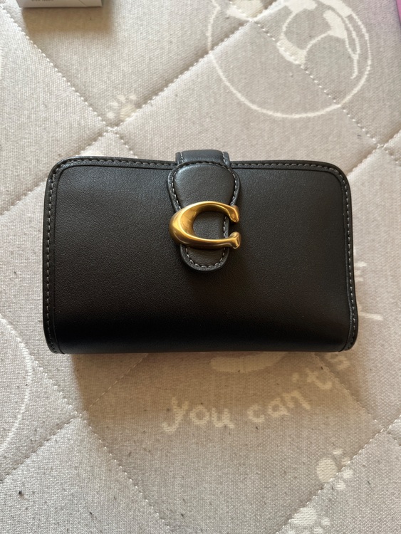 その他 コーチ （ブランドバッグ）の商品画像 - 査定依頼日：2025年9月23日 - 最高査定価格：3,000円